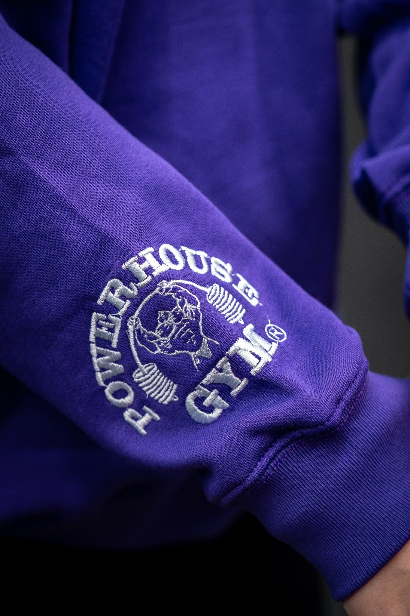 Powerhouse Gym Pro Shop Premium Oversized Hoodie Purple