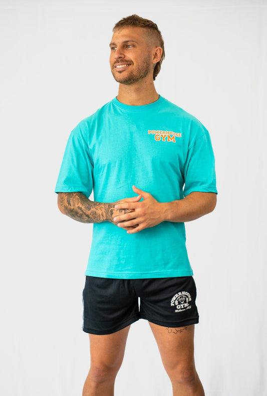 Powerhouse Gym Pro Shop Medium Oversized Legend T-Shirt-Miami Dolphins Vibes